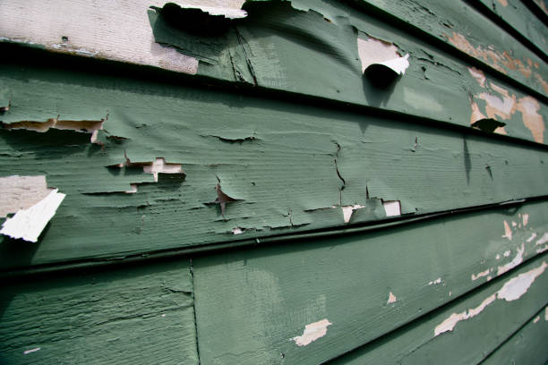 Best Historical Building Siding Restoration  in Seabrook Farms, NJ