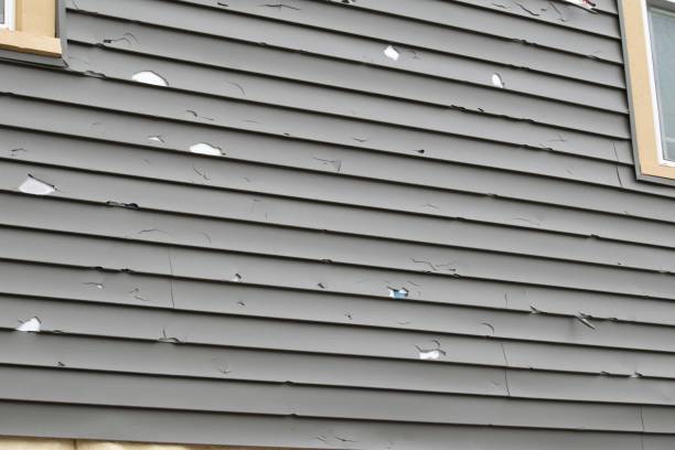 Best Engineered Wood Siding  in Seabrook Farms, NJ