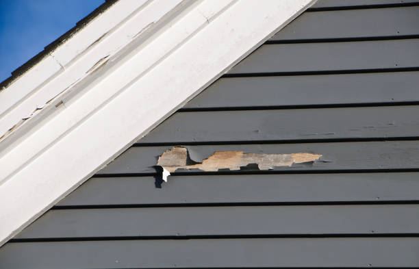 Best Siding for Commercial Buildings  in Seabrook Farms, NJ